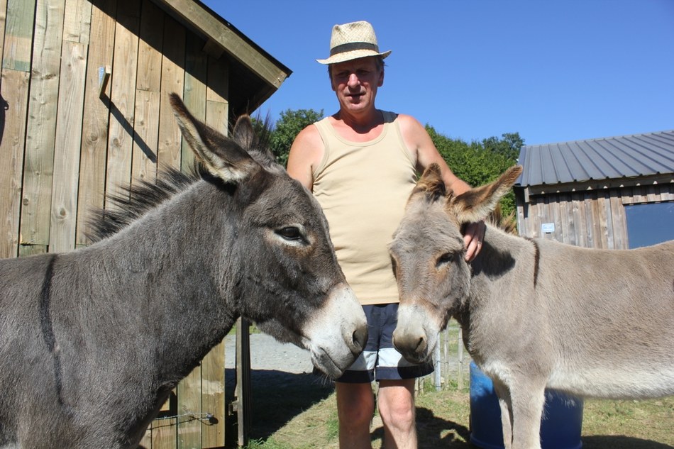 Jean-Pierre et ses ânes
